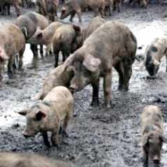 O İlde Ölü Sayısı 2’ye Yükseldi