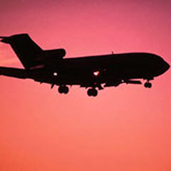 Pilot ölünce uçağı yolcu indirdi
