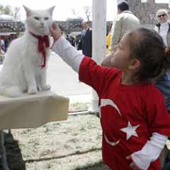 "Türkler hep suskundu ama artık muhteşemler"