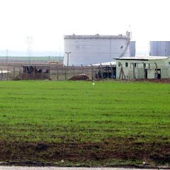 Kazılar yeniden başladı
