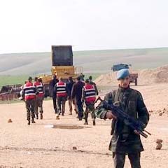 FLAŞ: Cizre'de 20 kemik çıktı!