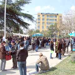 250 kişinin alınacağı işe 8 bin başvuru