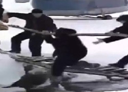 Gürcü Lider Dereye Düştü