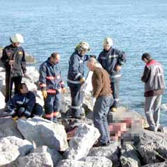 Amatör Balıkçılara Kötü Haber