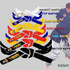 Savaş sanatında Sayokan modası