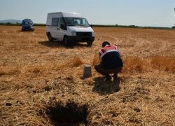 Karacabey'de jet yakıtı fareleri yakalandı