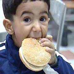 Türk bilim adamından obeziteye umut