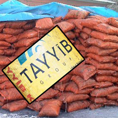 CHP 'Tayyib' ile oy istiyor!