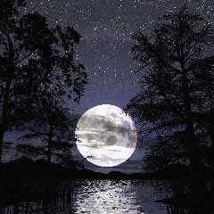 Bu gece uzun sürecek