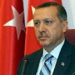 Erdoğan, El Tani ile görüştü