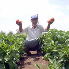 Tarım ilaçları, reçetesiz satılmayacak