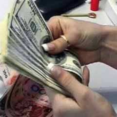Konsolosluk işlemlerinde dolar 1.55 YTL