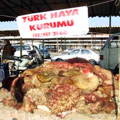 Türk Hava Kurumu 1,5 milyon deri topladı