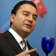 Babacan, Afganistan'a moral verdi
