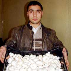 Zehirlenme korkusu, fiyatları etkiliyor