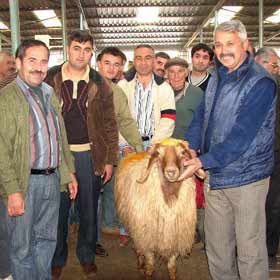 Denizli'de internetten e-kurban dönemi