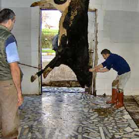 Deriye bıçak, servete darbe!