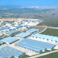 Özbekistan'da ilk serbest bölge kuruluyor