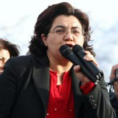 'Türk bayrağı' ifadesinden rahatsız olan DTP'li!