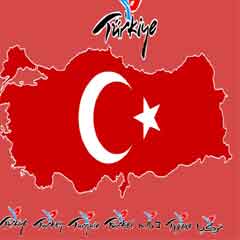 Türkiye'yi 'gerici, baskıcı rejim' olarak görüyorlar