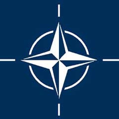 NATO'nun Ukrayna ve Gürcistan'a ihtiyacı yok