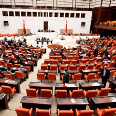 2009 Yılı Bütçe Tasarısı kabul edildi