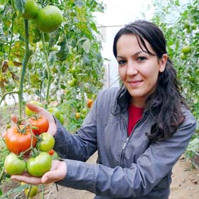 Ovakent'e bereket geldi