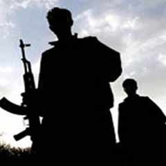 Lice'de öldürülen 3 PKK'lı yabancı uyruklu çıktı