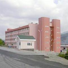 Karaelmas, bilimsel yayında ilk 30'da