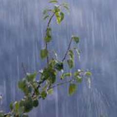 Meteoroloji'den yağış uyarısı