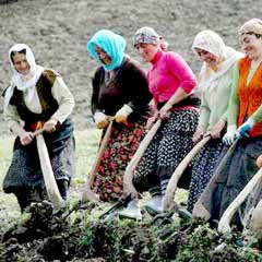 "Yüzde 30 kadın kotası"
