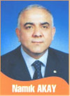 Anavatan seçimlere giriyor