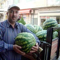 Güz karpuzu kazandırıyor