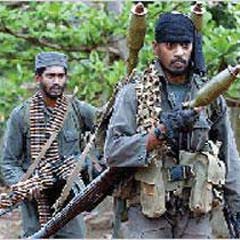 Srilanka'da 14 Tamil öldürüldü