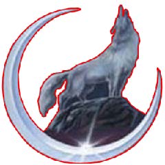 Ülkücü basında tiraj yarışı