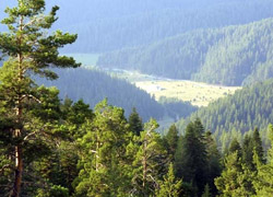 Ilgaz'a Yeni Milli Park