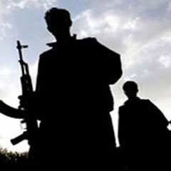 Şanlıurfa'da 1 terörist yakalandı