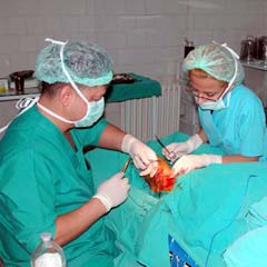 Doktor hatasından "günde 13 ölüm" normal
