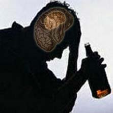 Alkol beyni küçültüyor
