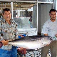 Balıkçıların yüzü güldü
