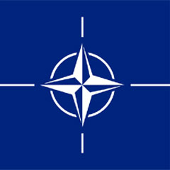 NATO'dan Gürcistan'a yardım