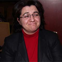 DTP'li Ayna, Altınova'ya alınmadı
