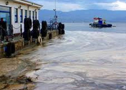 Marmara Denizi oksijensiz kalmış