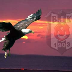 Kartal Ukrayna'ya uçtu