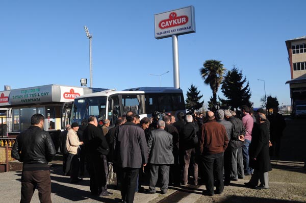 Rize'de ÇAYKUR arbedesi!