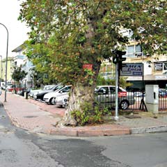 Namazgâh göz göre göre talan edilmiş