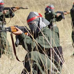 Bingöl'de 2 terörist yakalandı