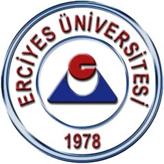 EÜ öğretim üyesinin çalışmasına ödül