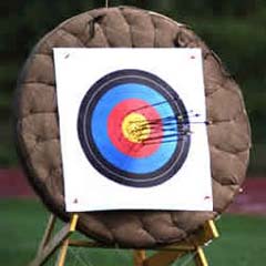 Okçulukta Özgen dördüncü oldu