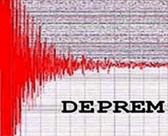 Endonezya ve Japonya'da şiddetli depremler